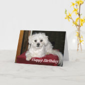 蜂蜜のバースデー・カード カード (黄色い花)