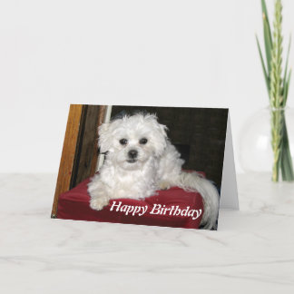 蜂蜜のバースデー・カード カード