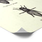 蜂蜜のポスター ポスター (角)