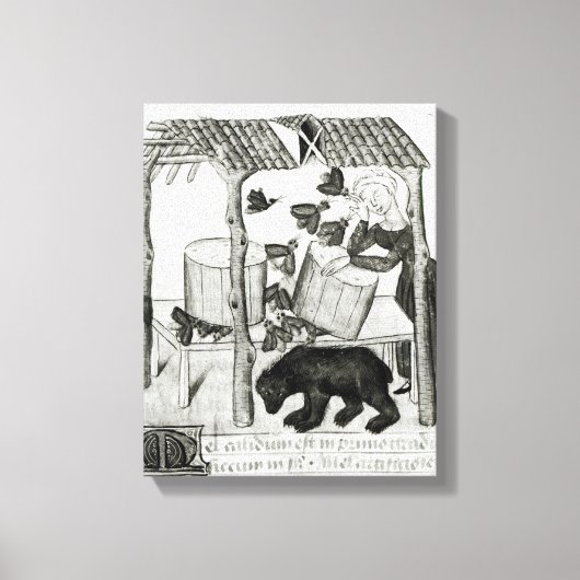 蜂蜜の採集 キャンバスプリント (正面)