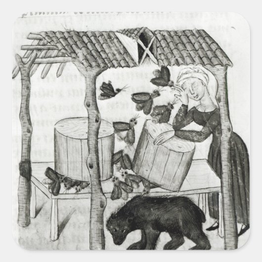 蜂蜜の採集 スクエアシール (正面)