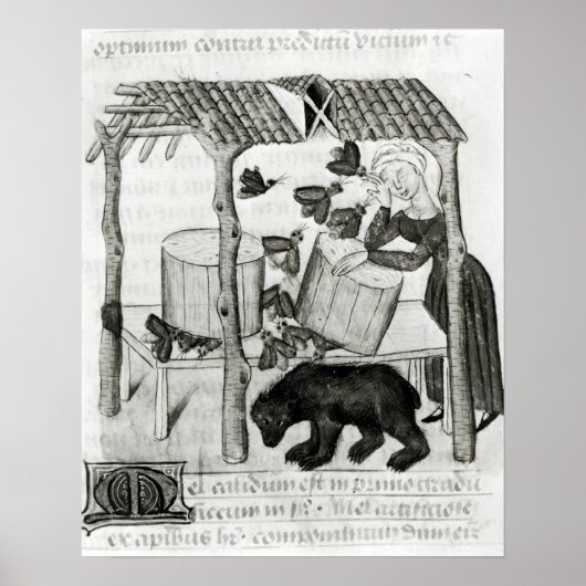 蜂蜜の採集 ポスター (正面)