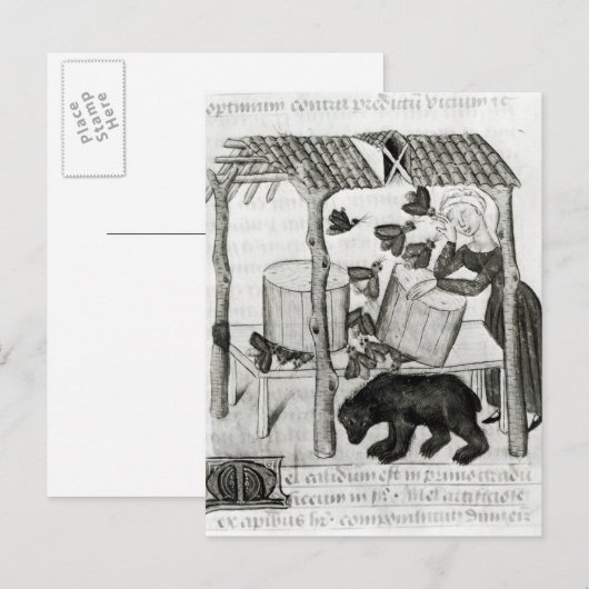 蜂蜜の採集 ポストカード (正面/裏面)