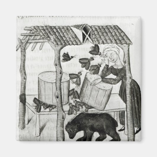 蜂蜜の採集 マグネット (正面)