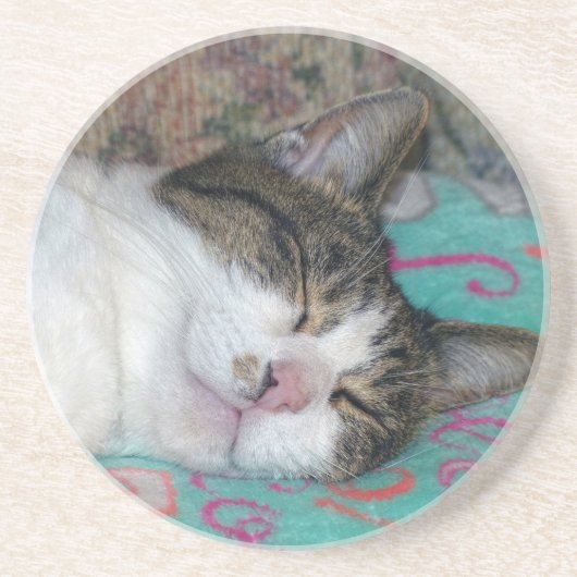 蜂蜜の眠り コースター (正面)