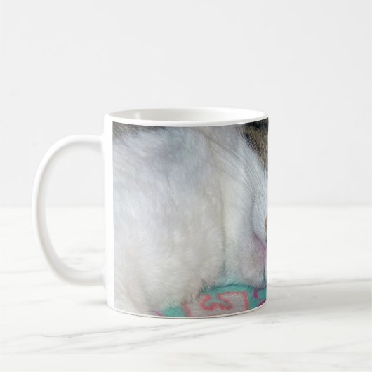 蜂蜜の眠り コーヒーマグカップ (左)