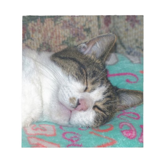 蜂蜜の眠り ノートパッド (正面)