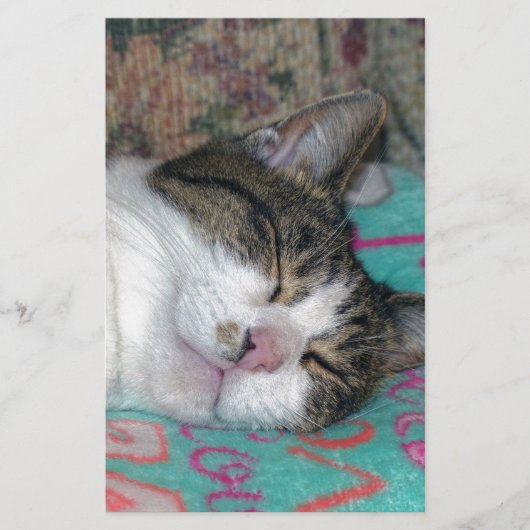 蜂蜜の眠り 便箋 (正面)