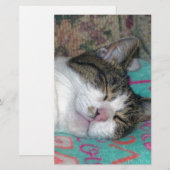 蜂蜜の眠り 便箋 (正面/裏面)