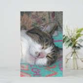 蜂蜜の眠り 便箋 (スタンド正面)