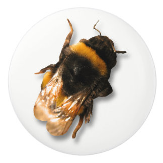 蜂蜜の蜂のノブ セラミックノブ