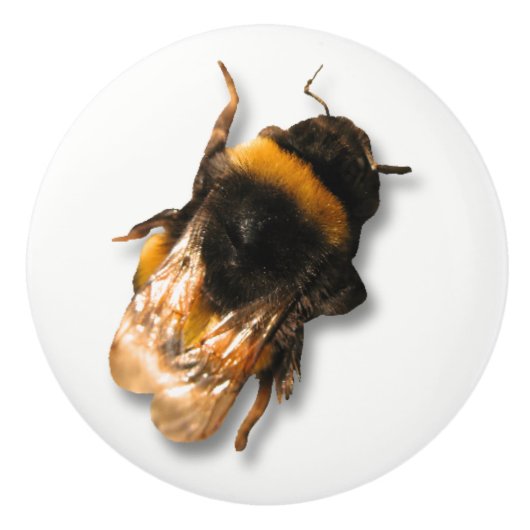 蜂蜜の蜂のノブ セラミックノブ (正面)