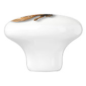 蜂蜜の蜂のノブ セラミックノブ (側面)