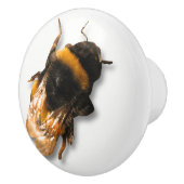 蜂蜜の蜂のノブ セラミックノブ (右)