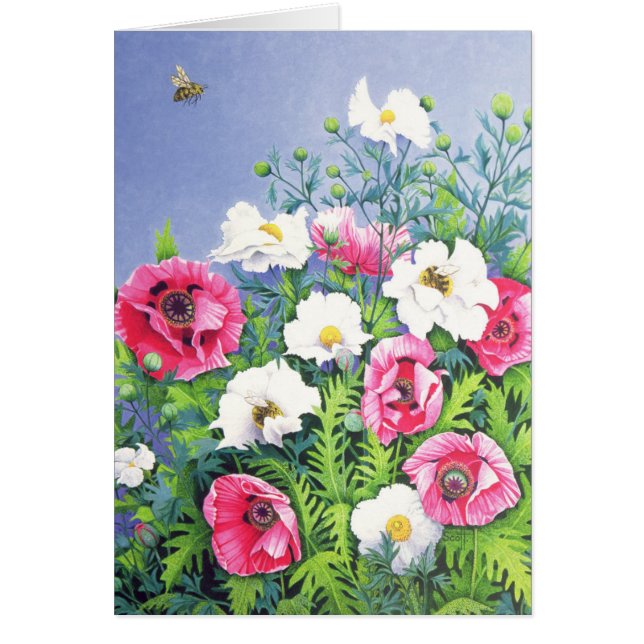 蜂蜜の蜂の蜂蜜の蜂 (正面)