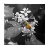 蜂蜜の蜂及びヒイラギ タイル (正面)