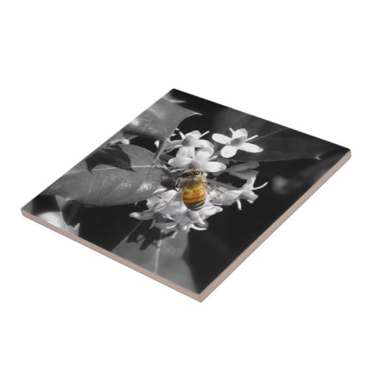 蜂蜜の蜂及びヒイラギ タイル (側面)