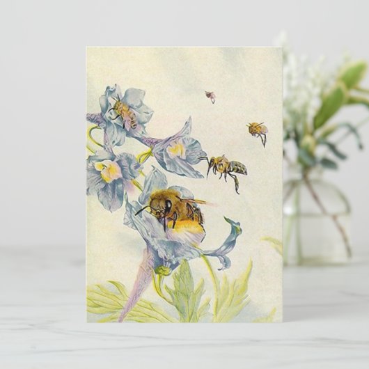 蜂蜜の蜂及び朝顔の花の招待状 招待状 (スタンド正面)