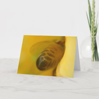 蜂蜜の蜂 カード