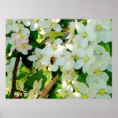 蜂蜜を作る ポスター (正面)