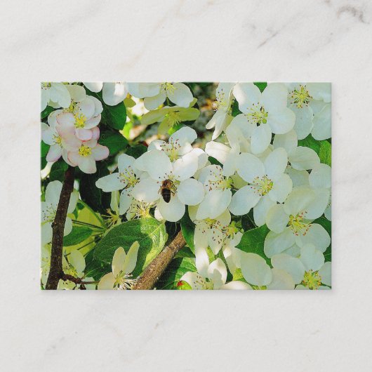 蜂蜜を作る 名刺 (正面)