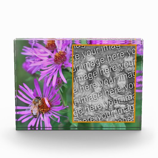 蜂蜜ビーオンピンクアスター花あなた自身を追加 フォトブロック (正面)