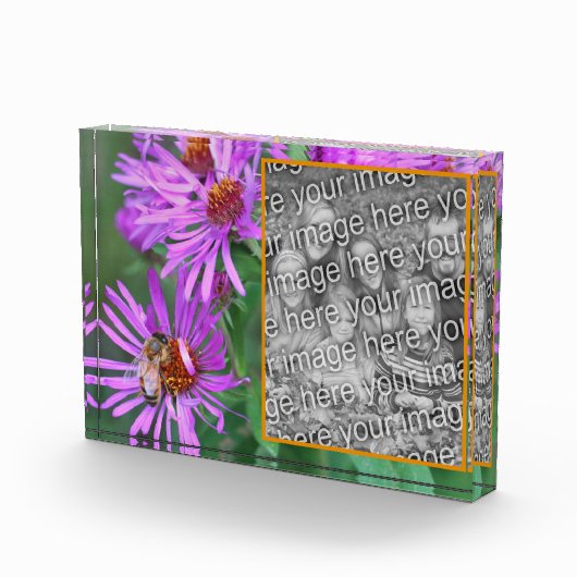 蜂蜜ビーオンピンクアスター花あなた自身を追加 フォトブロック (右)