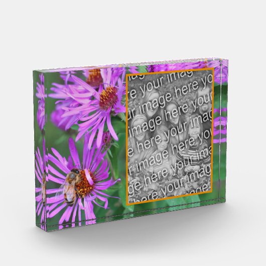 蜂蜜ビーオンピンクアスター花あなた自身を追加 フォトブロック (左)