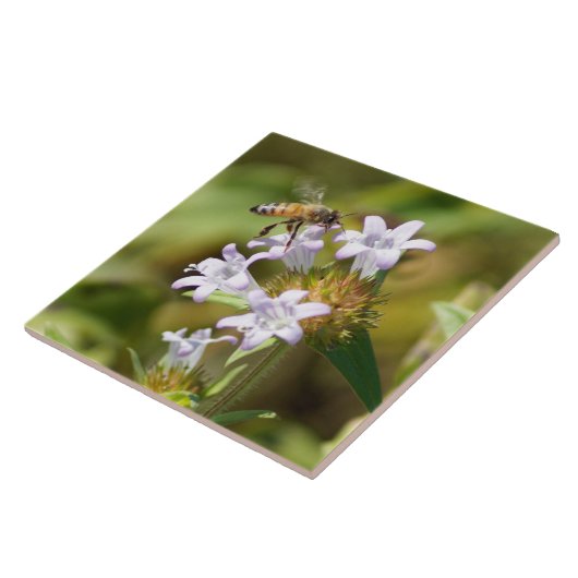 蜂蜜花陶瓦 タイル (側面)