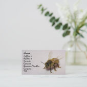 蜂蜜蜂 名刺 (スタンド正面)