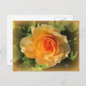 蜂蜜香水バラ葉書 ポストカード (正面/裏面)