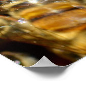 蜂蜜 ポスター (角)