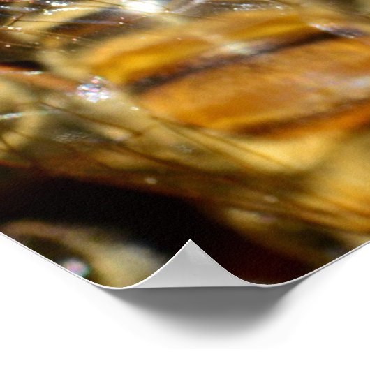 蜂蜜 ポスター (角)