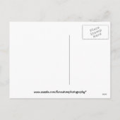 蜂飛んでいるすずめ シーズンポストカード (裏面)