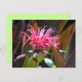 蜂香油 ポストカード (正面/裏面)