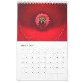 蜂2020のカレンダー カレンダー (3月 2027)