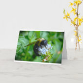 蜂, カード (黄色い花)