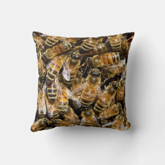蜂 クッション (裏面)