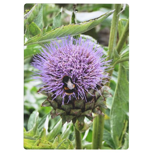 蜂 クリップボード (裏面)