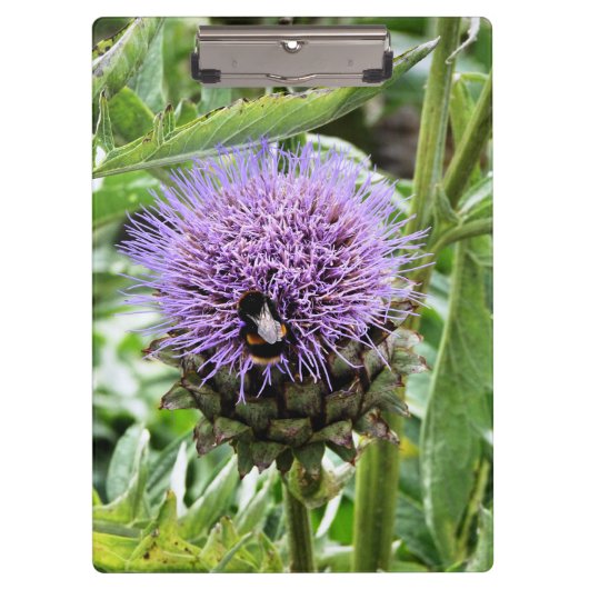 蜂 クリップボード (正面)