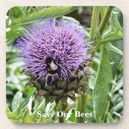 蜂 コースター (正面)