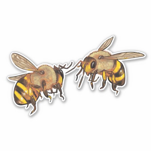 蜂 シール (正面)