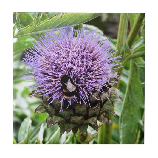 蜂 タイル (正面)