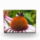 蜂 フォトブロック (正面)