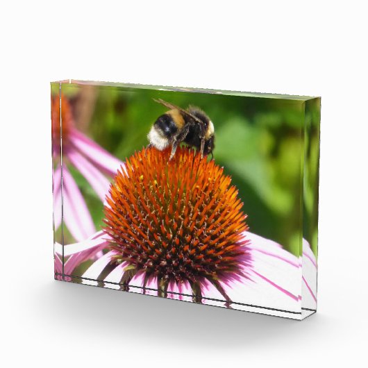 蜂 フォトブロック (右)