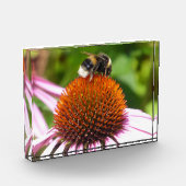 蜂 フォトブロック (左)