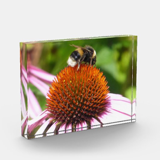 蜂 フォトブロック (左)