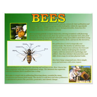 蜂 フォトプリント           