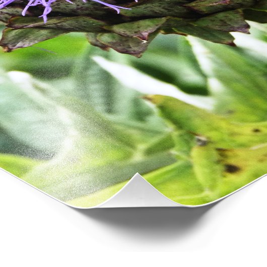 蜂 フォトプリント            (角)