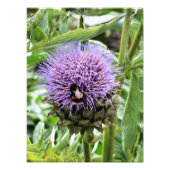 蜂 フォトプリント            (正面)